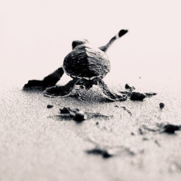 Meet your Posher, Hart Home by Chandco! - Picture 1 of 16